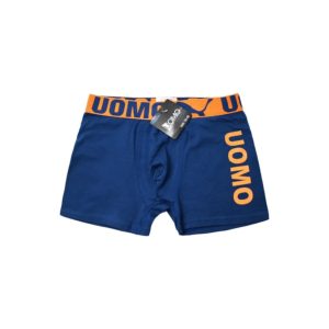 Boxer Liso